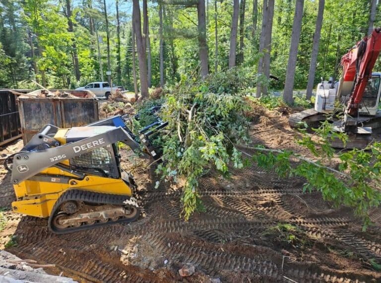 Tree Removal Site Prep